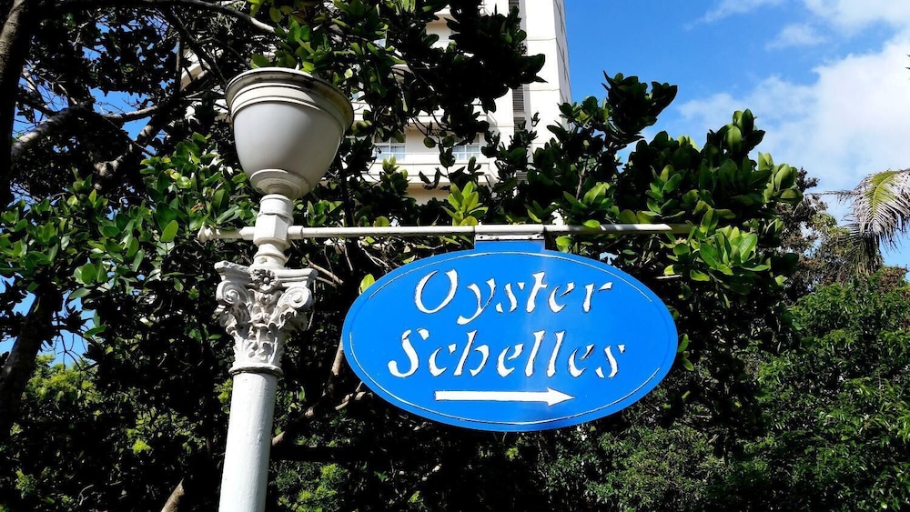 703 Oyster Schelles 44/47