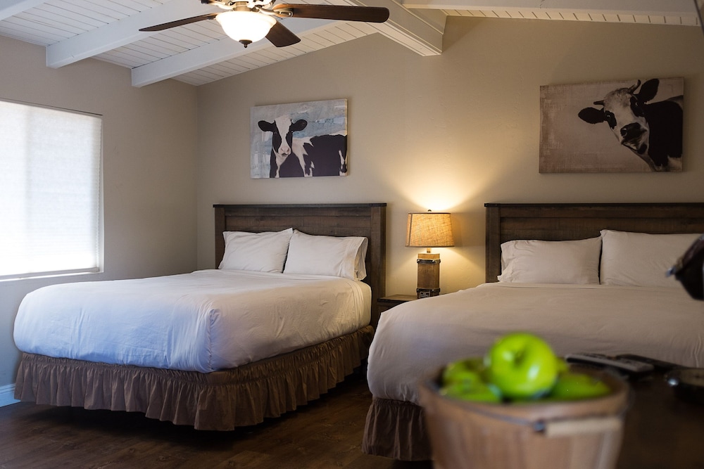 Apple Tree Inn 15/50