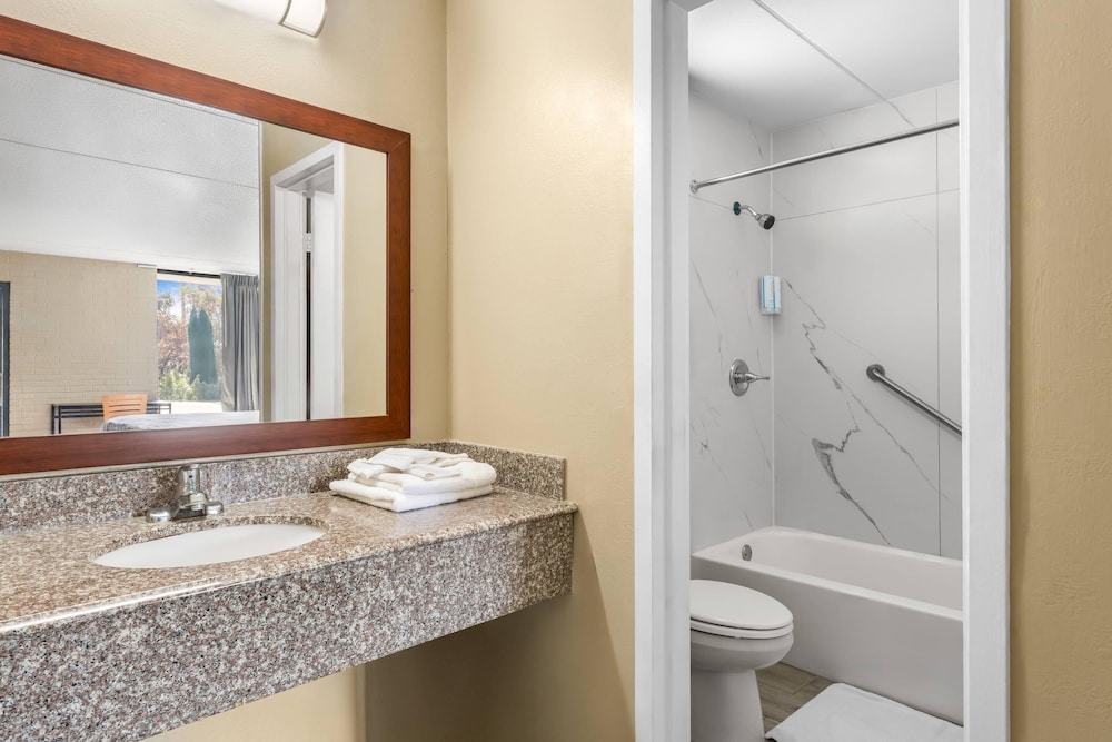Rodeway Inn Charlotte South 46/52