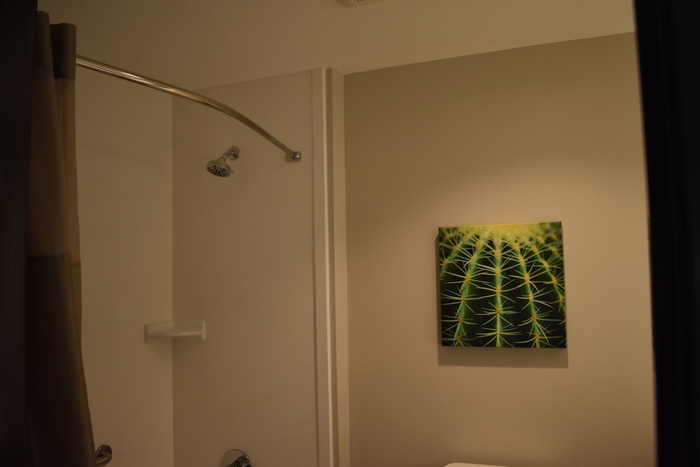 La Quinta Inn & Suites by Wyndham San Bernardino 26/45
