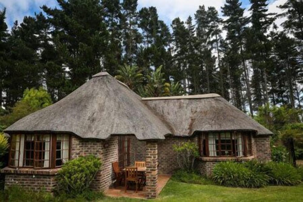 Coral Tree Cottages 2/19