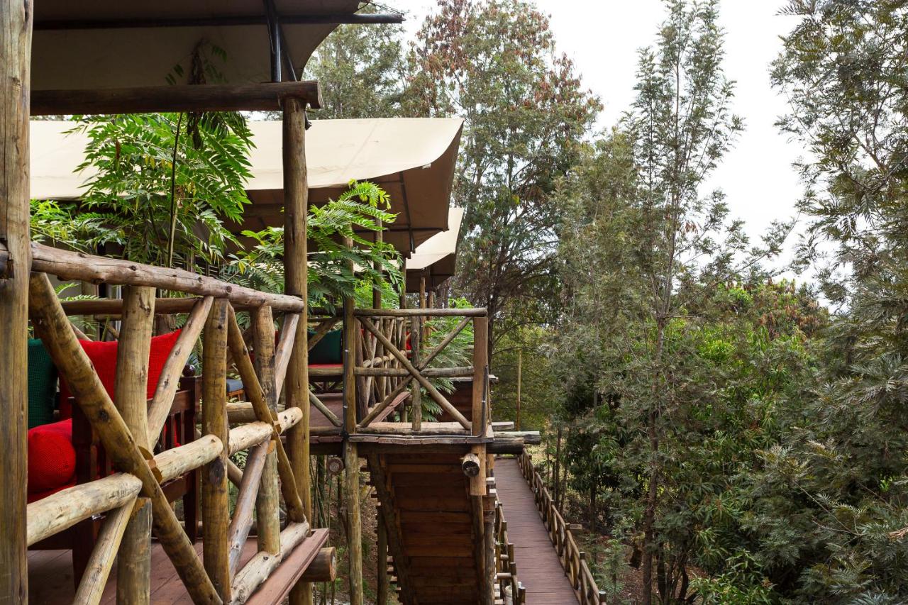 Nokras Enkare Luxury Tented Camps 17/20