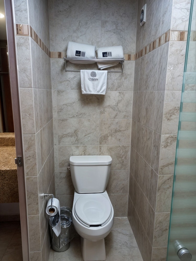 غرفة تنفيذية بسريرين مزدوجين، Hotel Soleil Business Class Celaya 5/8