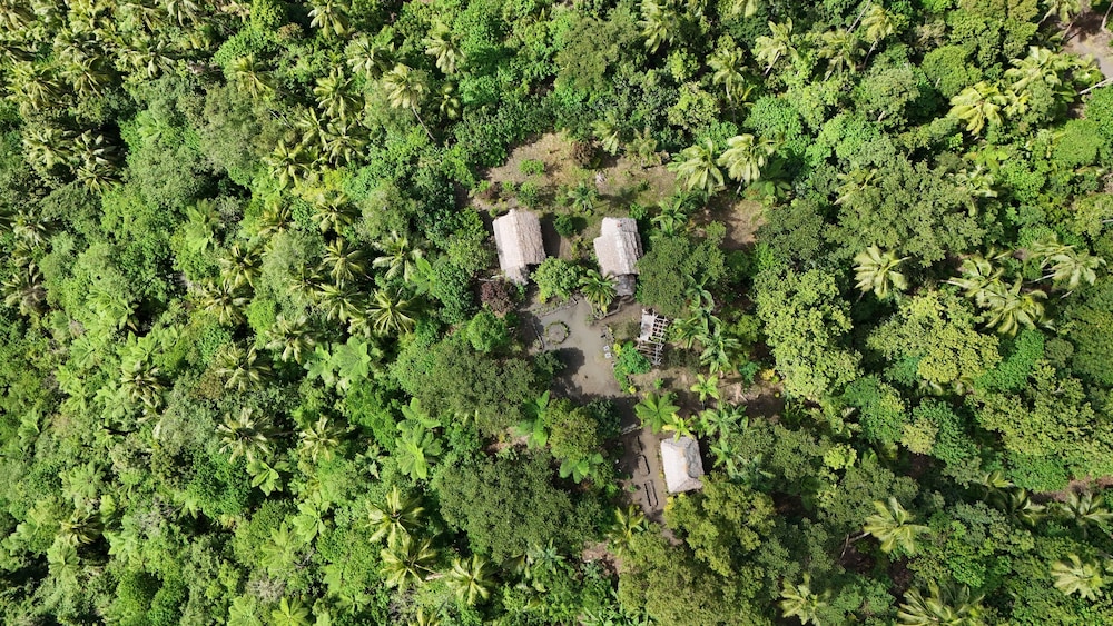 Tanna Lava View Bungalows 39/50