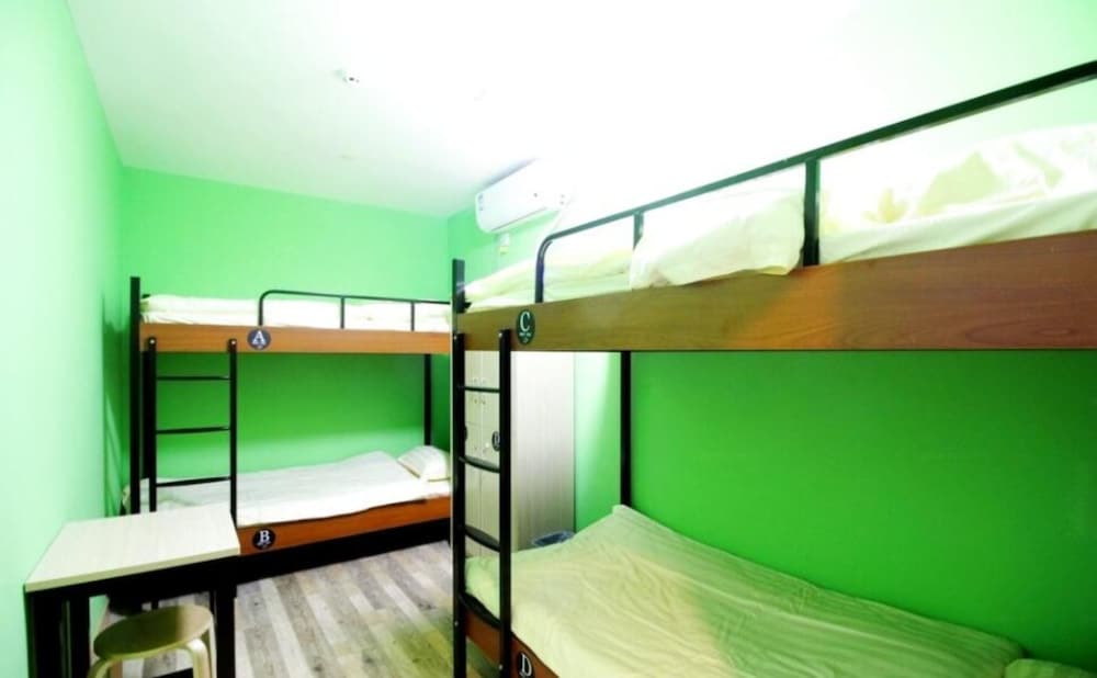 Meet Fish International Youth Hostel 11/19
