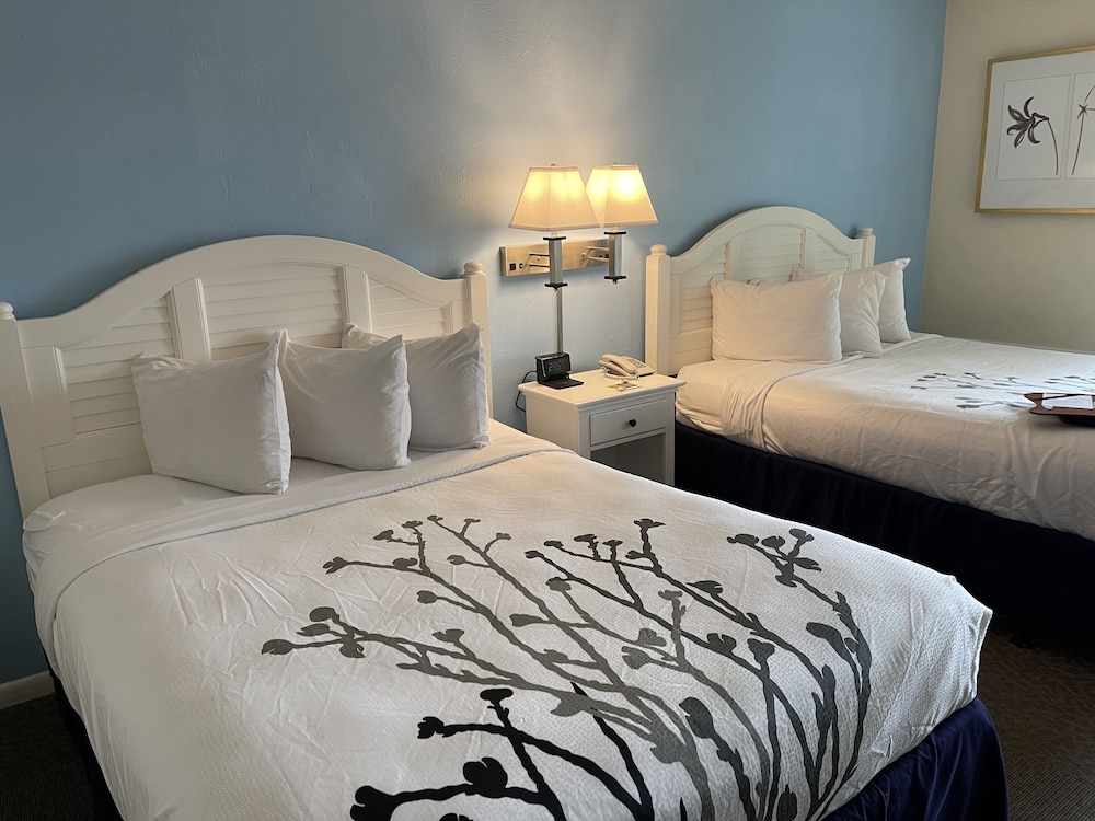 Ocean Sands Beach Inn 16/46