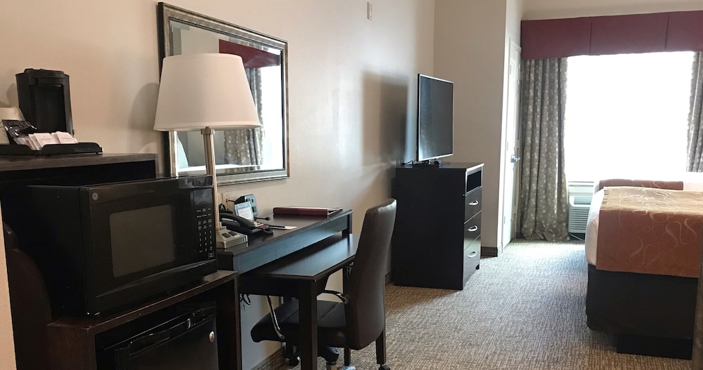 Comfort Suites Bay City 33/34
