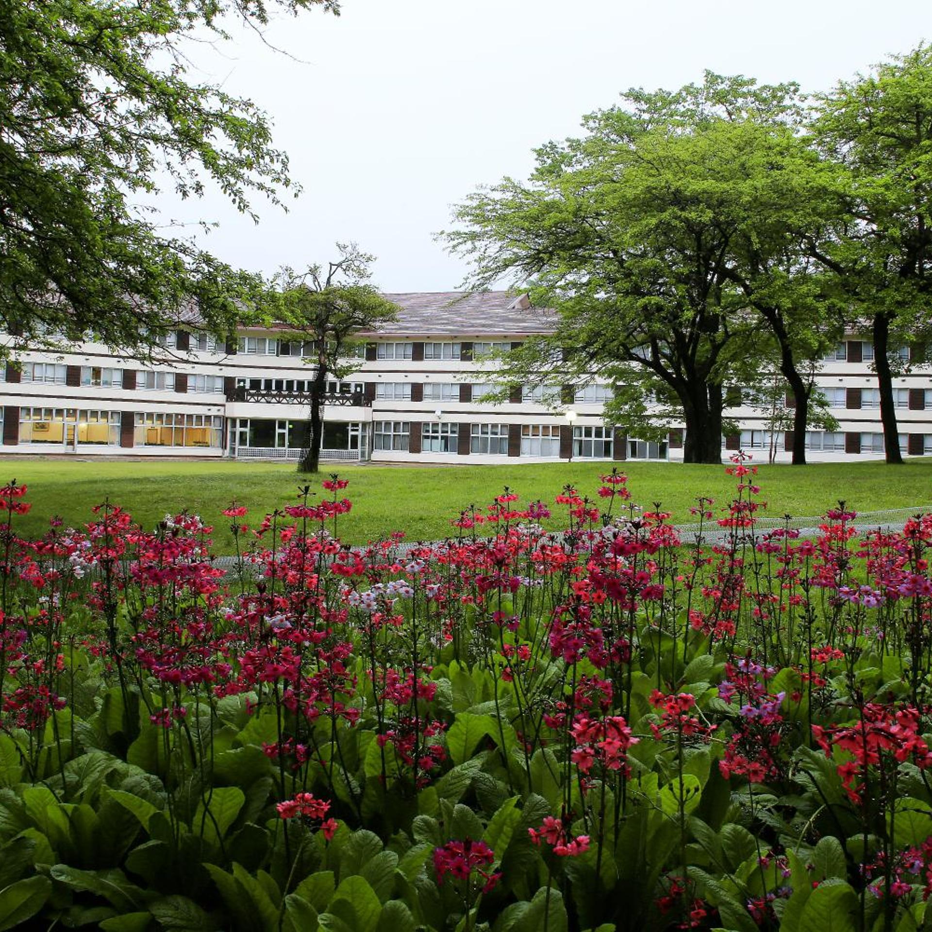 Nikko Astraea Hotel 4/70