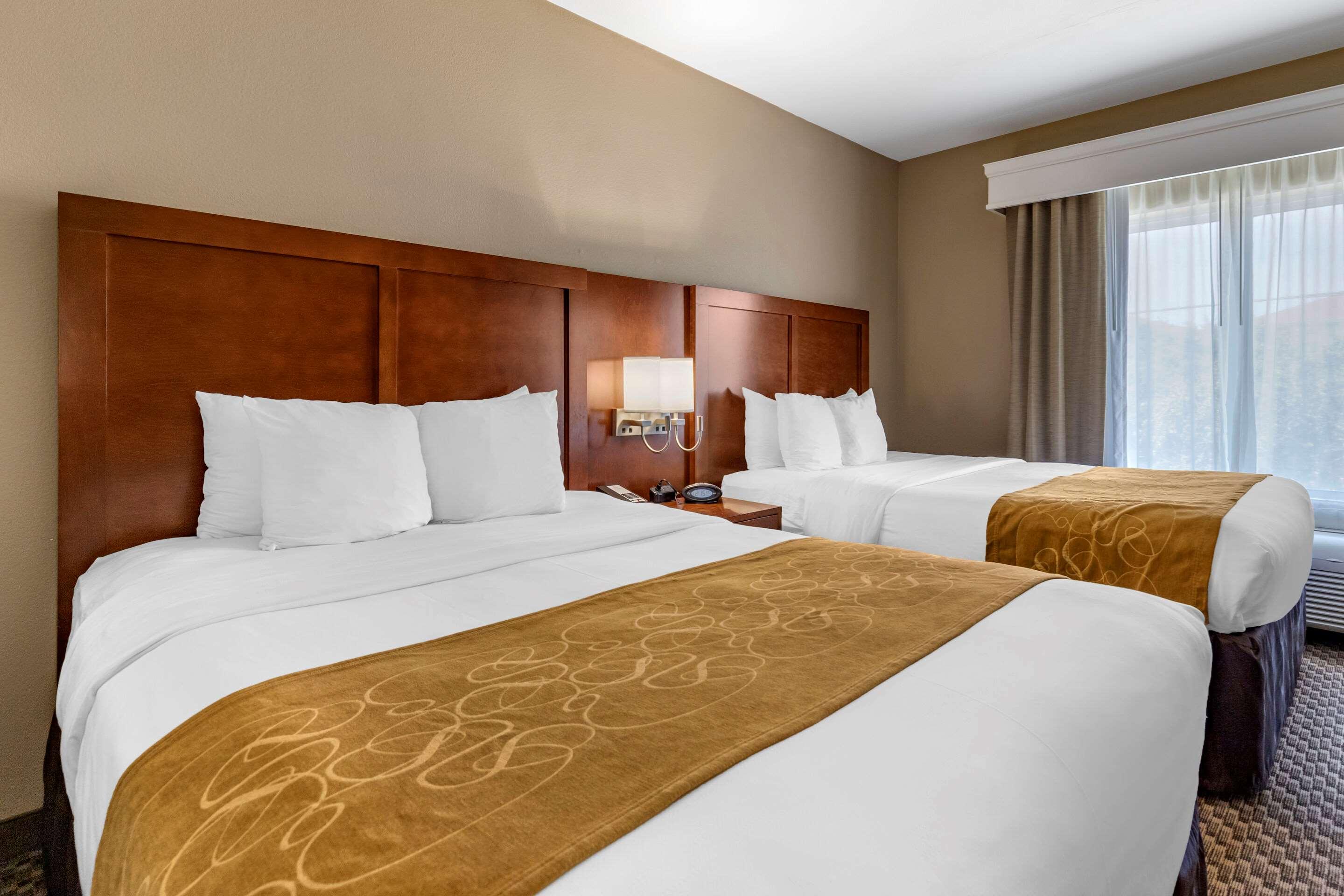 SUITE, 2 QUEEN BEDS