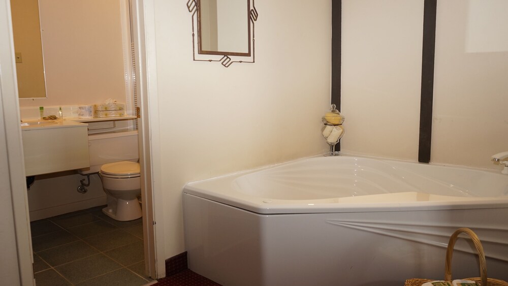 Mcintosh Country Inn & Conference Centre 16/69