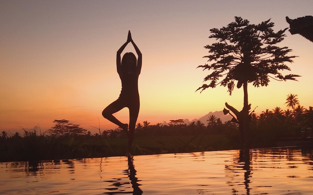 Kayangan别墅Ubud(Kayangan Villa Ubud) 图片2