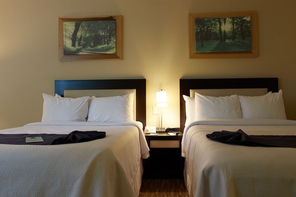 Excellence Express & Suites San Juan Del Rio 9/39