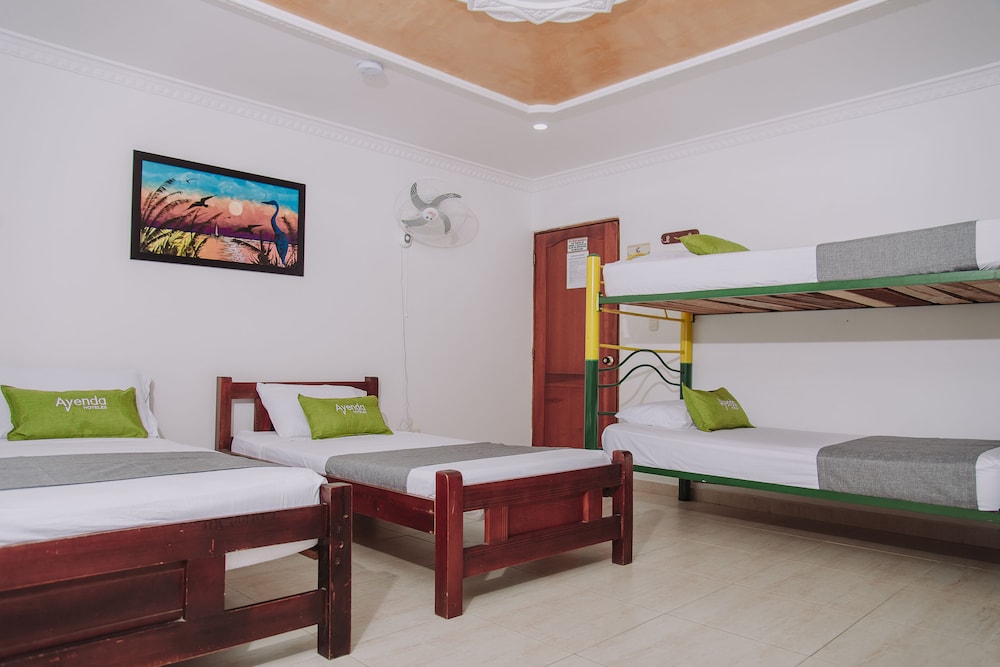Family, 1 Double and 1 Single Bed, Bunk Bed