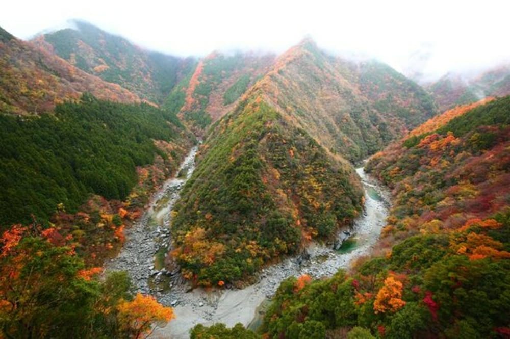 Nano Yado Hotel Iya Onsen 45/50