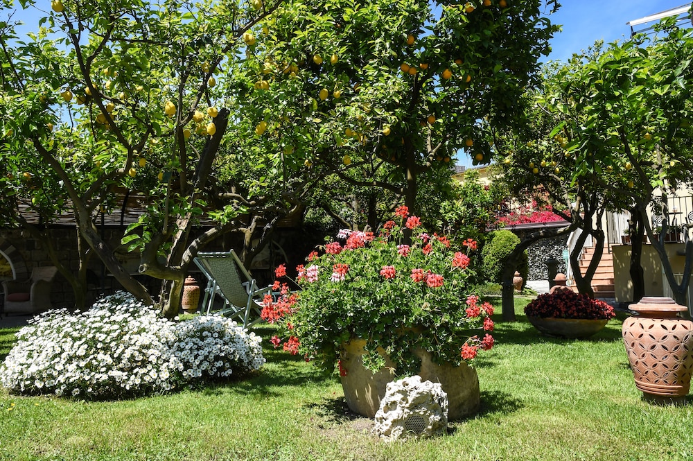 Antiche Mura Hotel 63/66