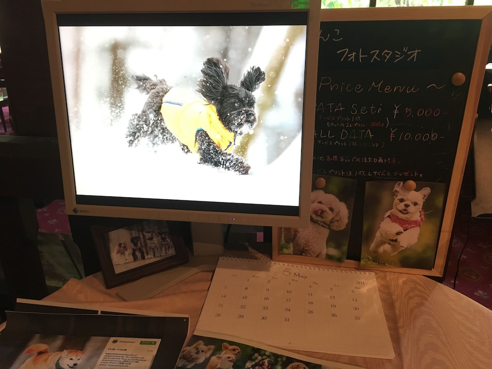 イズミゴ高山ドッグパラダイスホテル 写真2