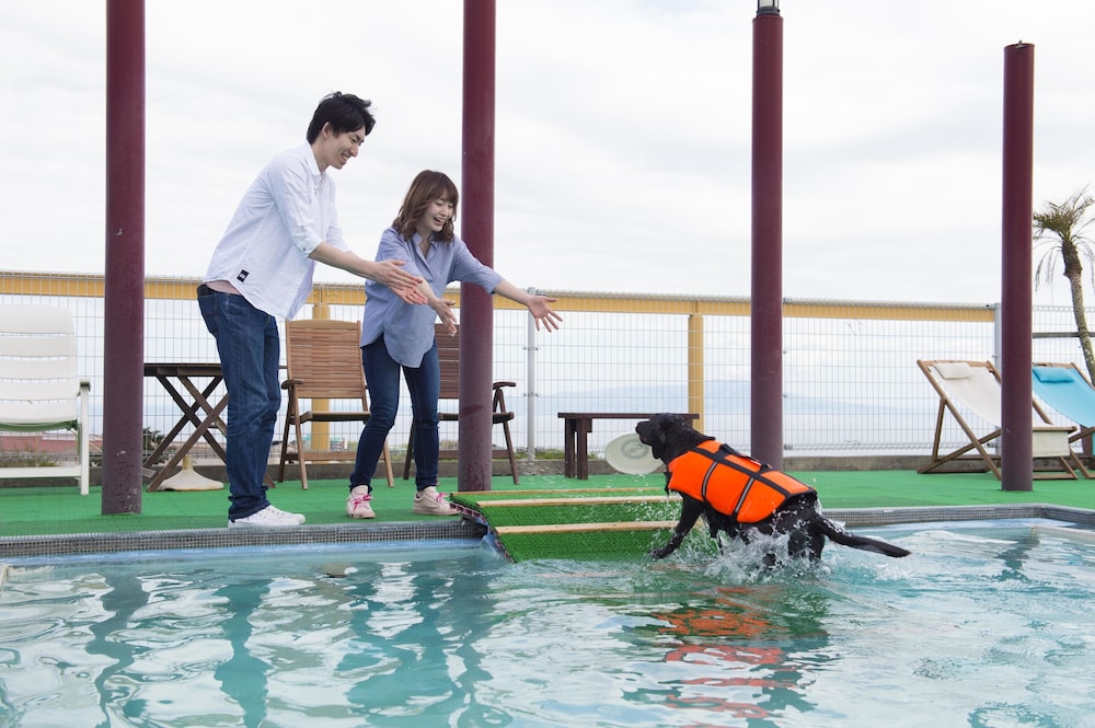 Izumigo Izukogen Dog Paradise Hotel 38/38