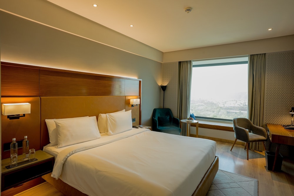 Radisson Hotel Nathdwara 14/46