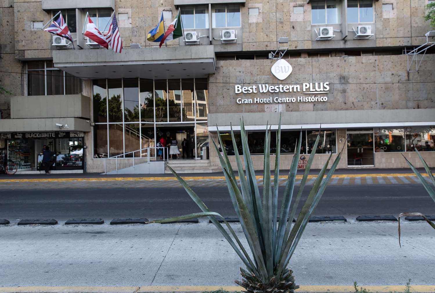 Best Western Plus Gran Hotel Centro Historico 6/70