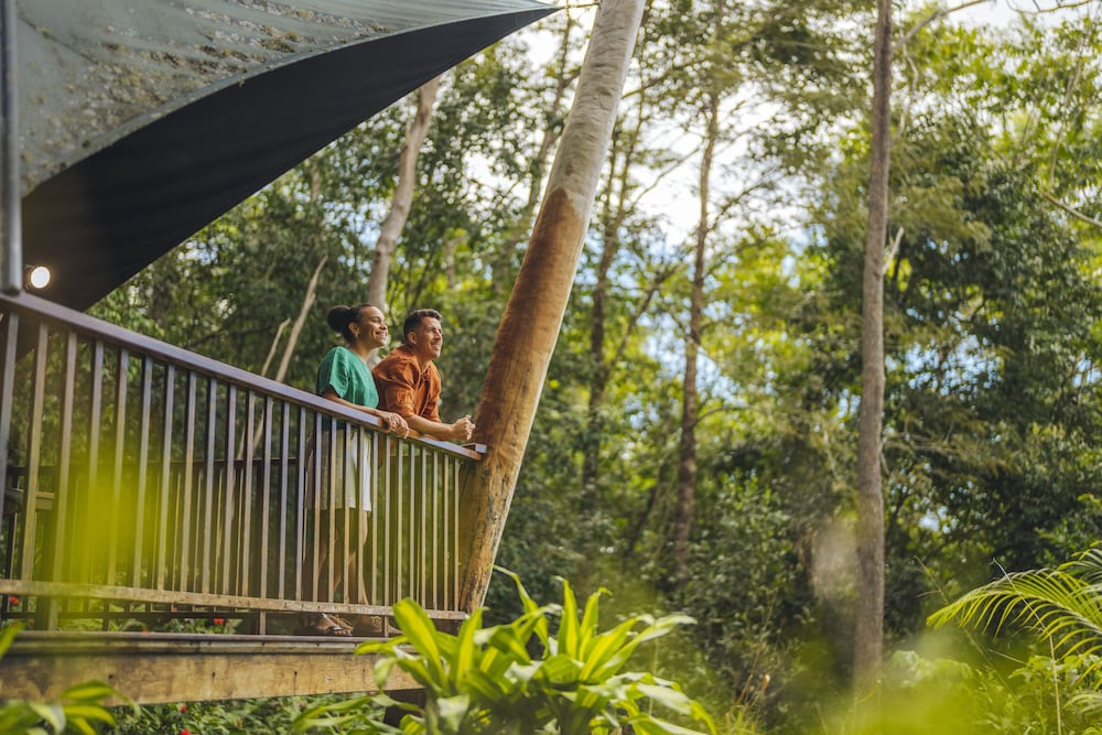 Rose Gums Wilderness Retreat 4/67