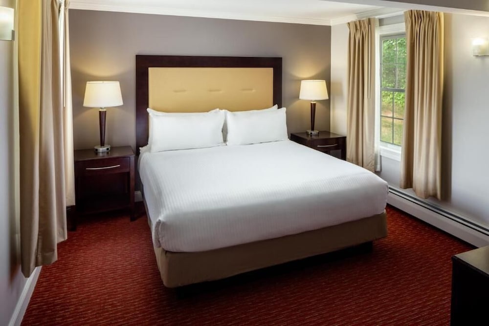 Gold, Studio, Suite, King Bed