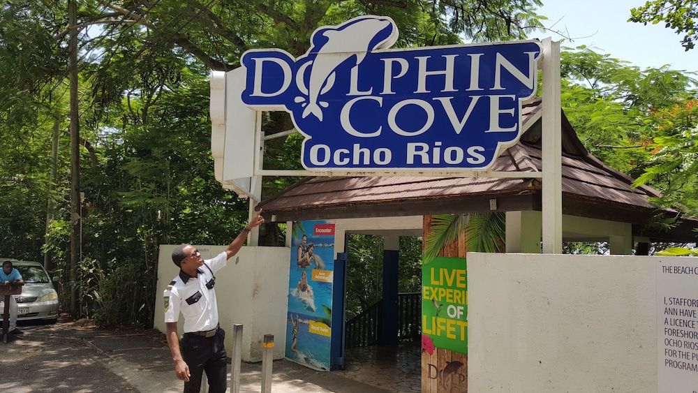 Ocho Rios Villa At Coolshade Iv 43/50