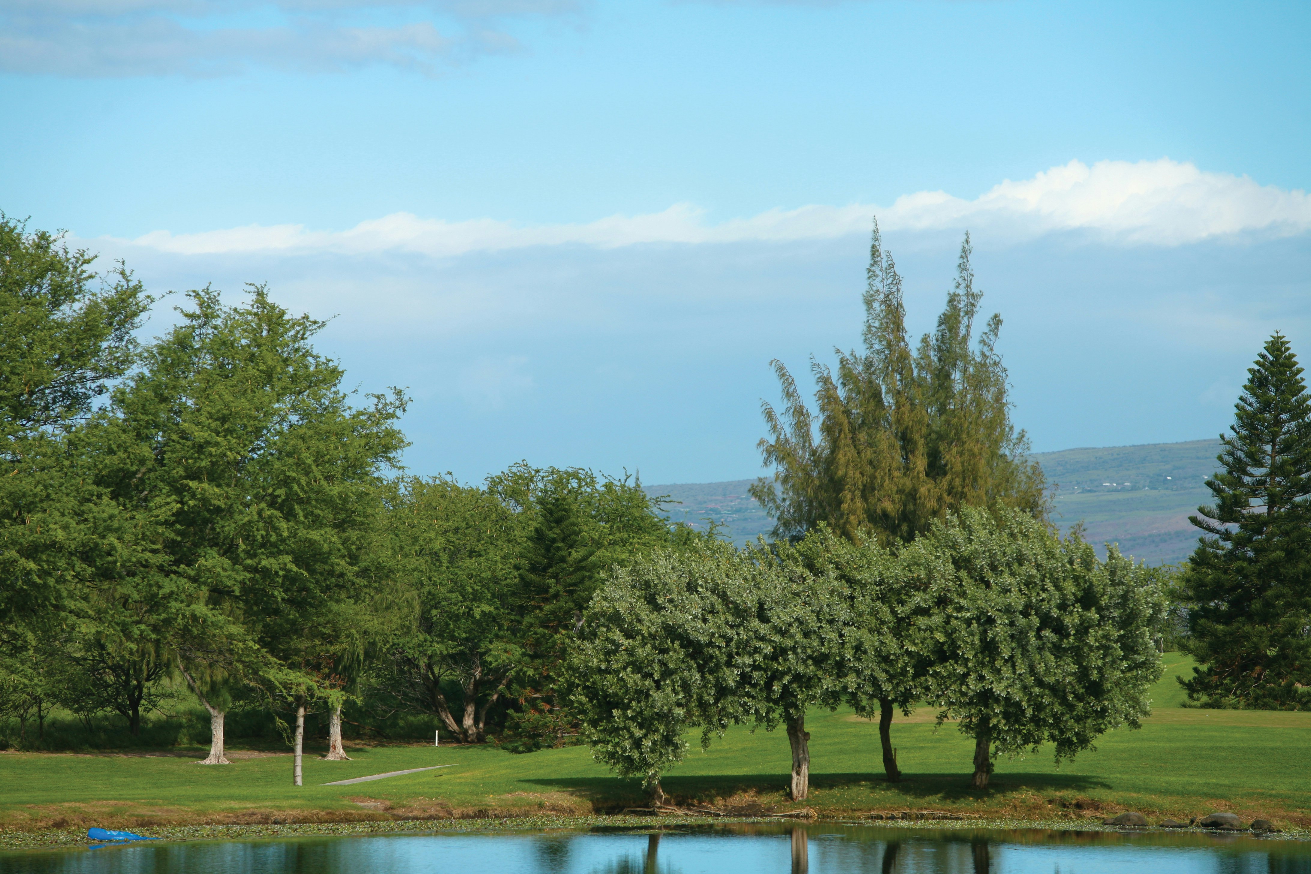 Paniolo Greens at Waikoloa Village 67/79