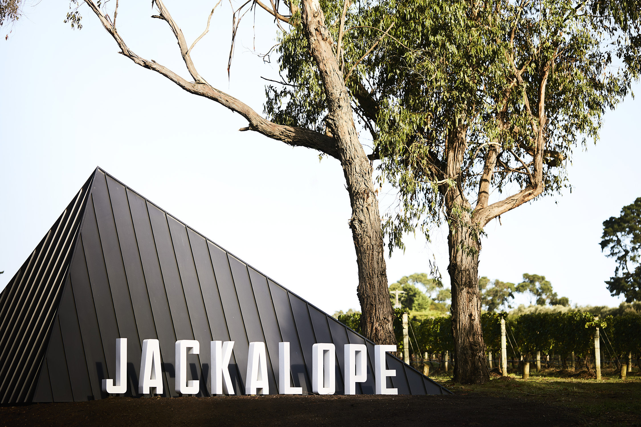 JACKALOPE HOTEL 2/36