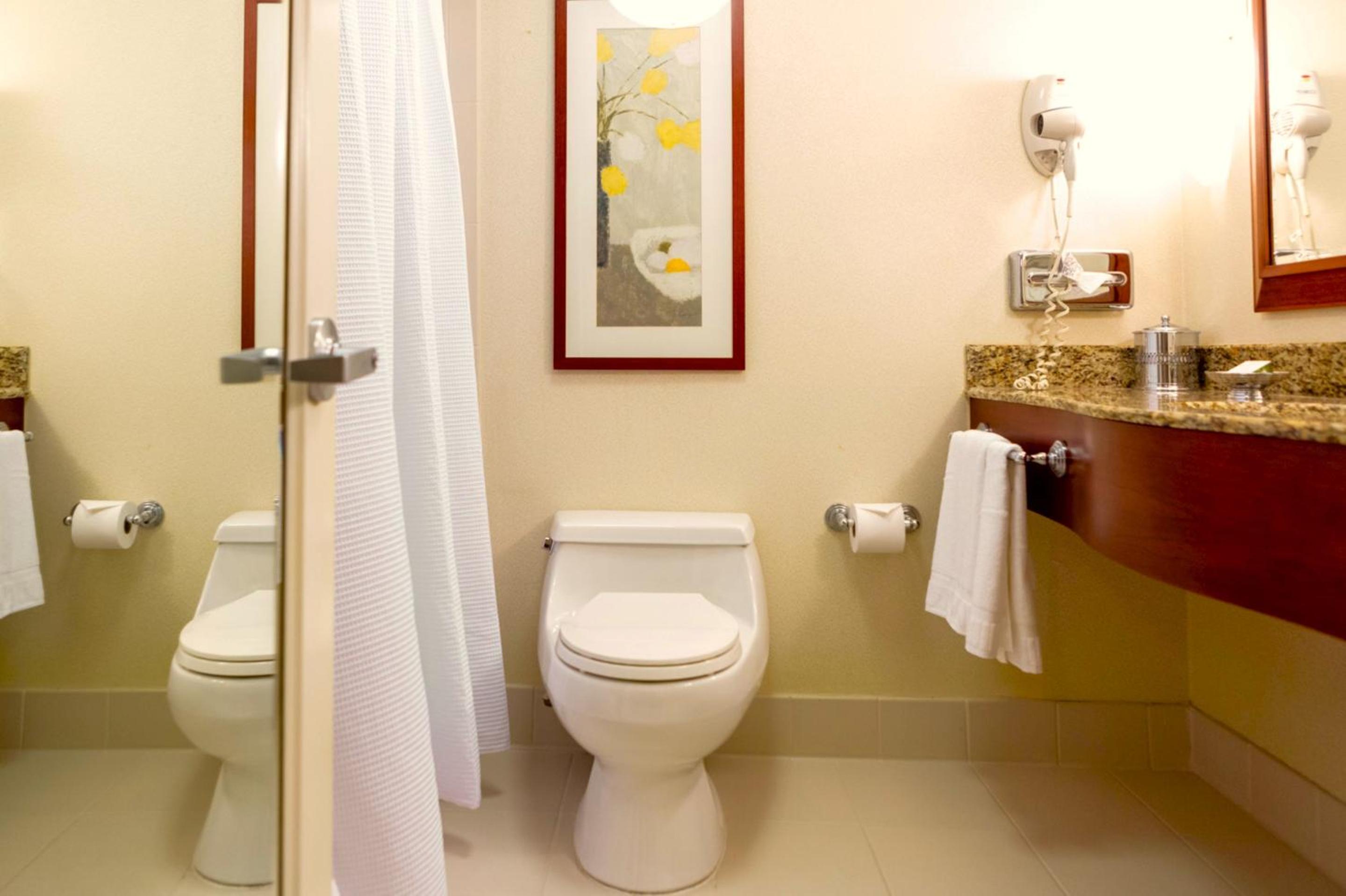 Premier, Suite, Queen Bed, 2 Bathrooms، San Carlos Hotel 3/4