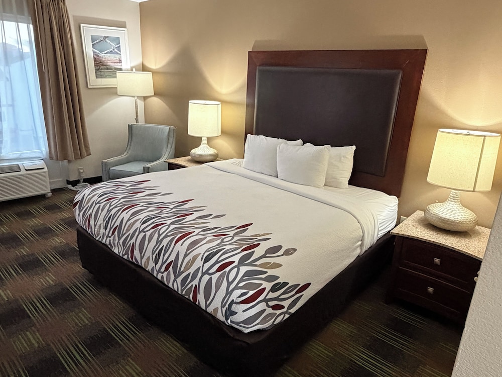 ROOM, KING BED, ACCESSIBLE