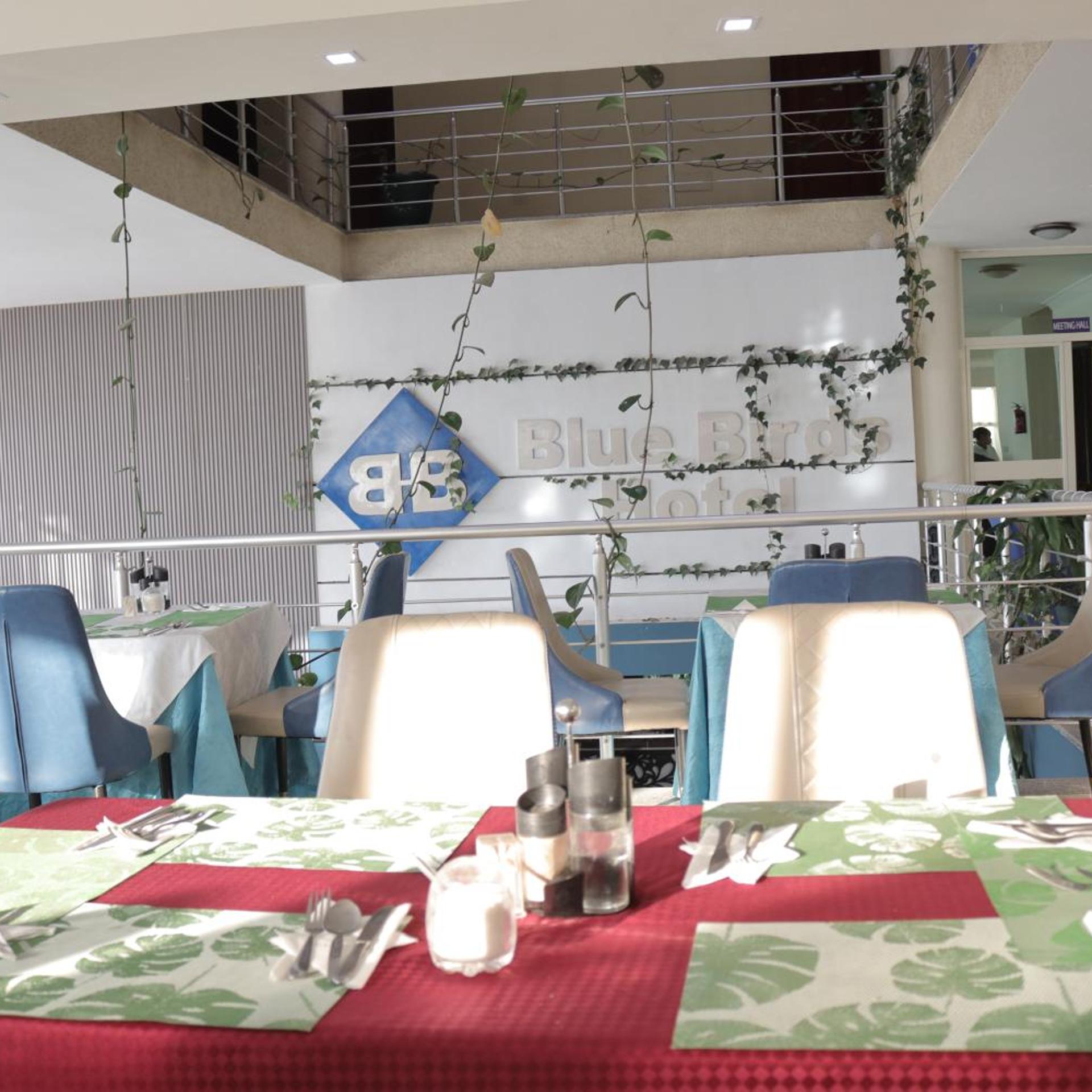 Blue Birds International Hotel 40/50
