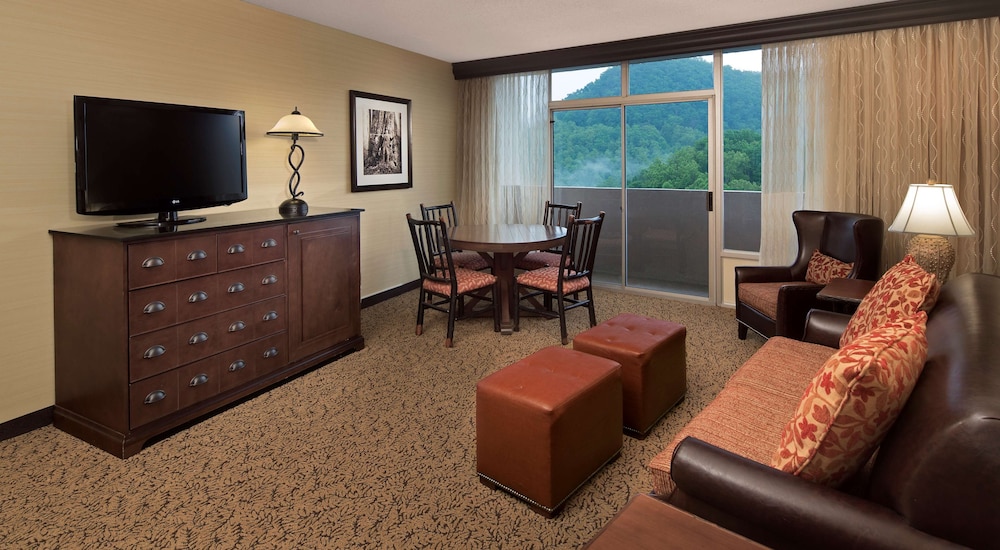 The Park Vista A Doubletree By Hilton Hotel Gatlinburg 13/39