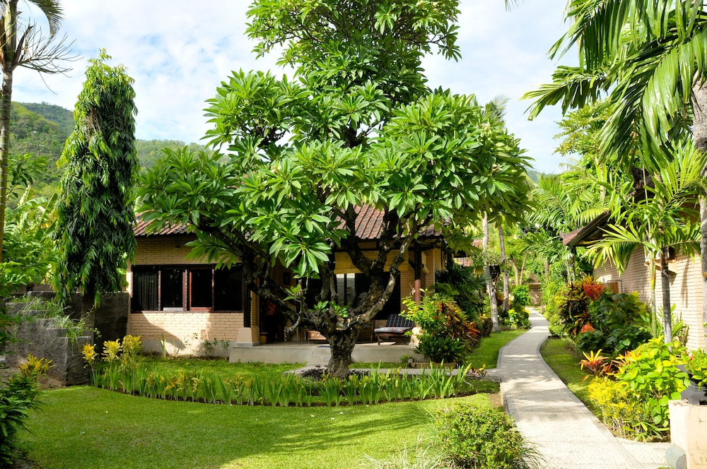 Hidden Paradise Cottages 3/49