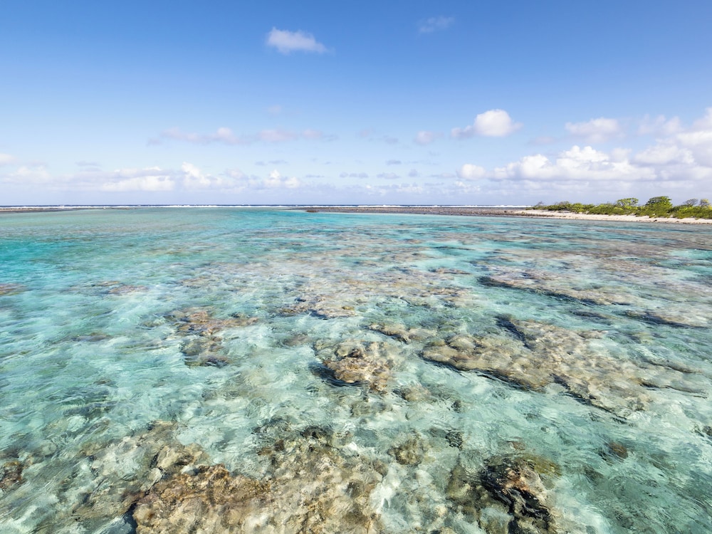 Le Tikehau by Pearl Resorts 44/47