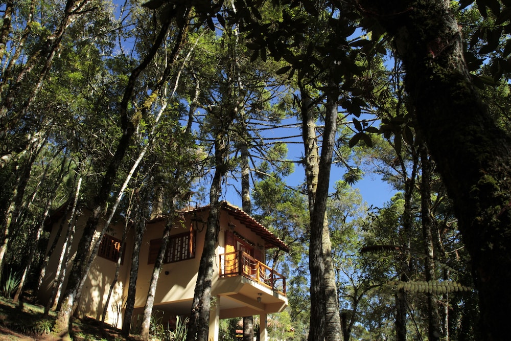 Chale da Floresta 26/36