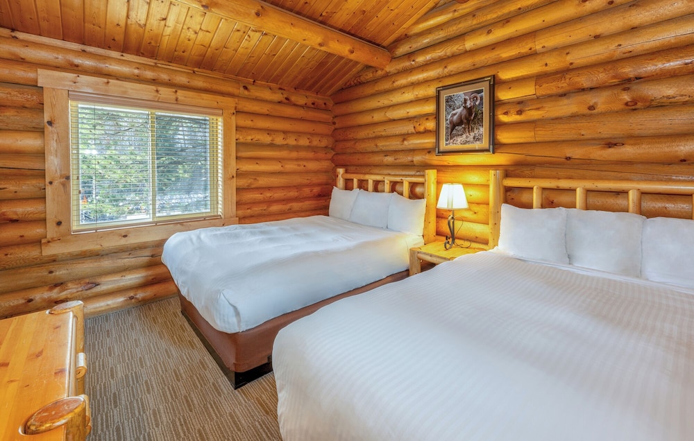 Togwotee Mountain Lodge 10/50
