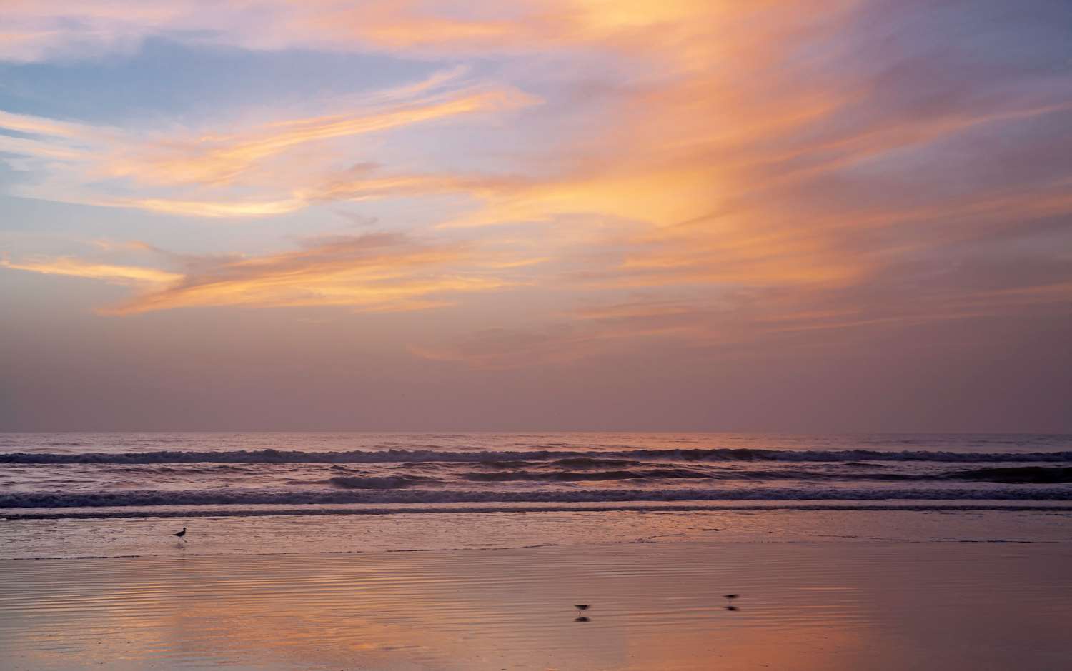 New Smyrna Beach Hotel & Suites 19/24