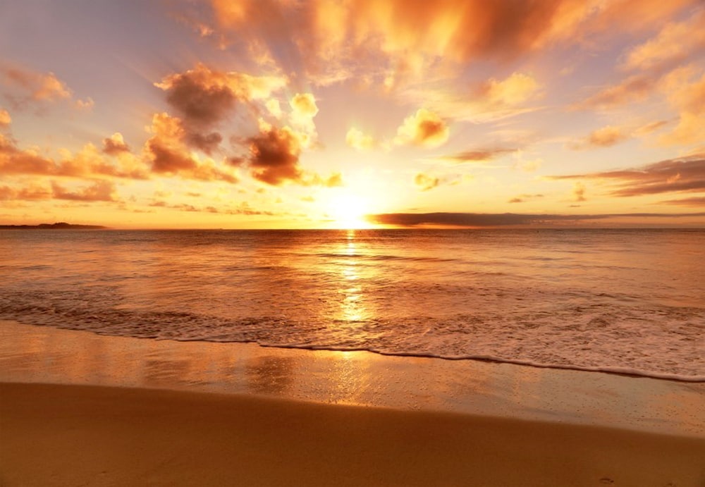Beachfront Bed & Breakfast 34/46