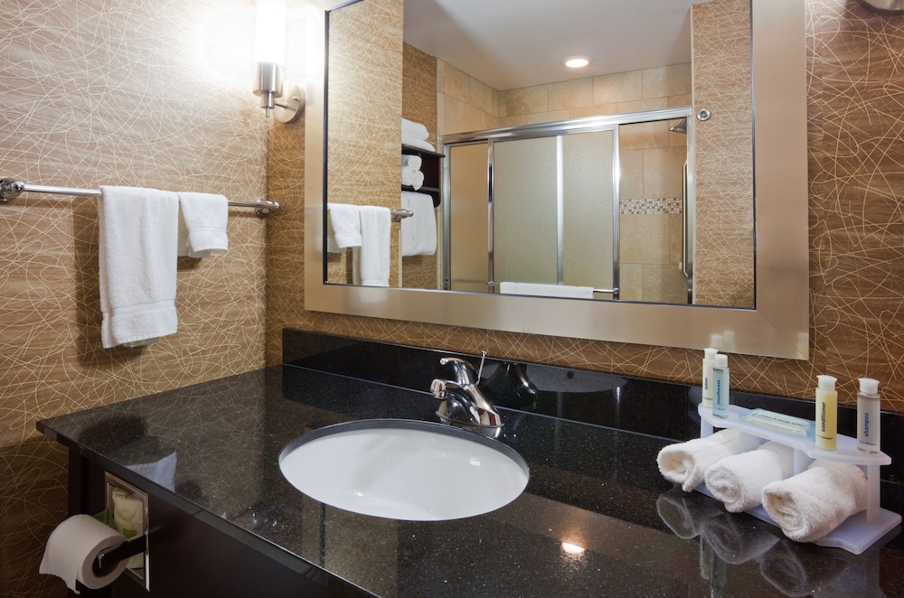 Holiday Inn Express Hotel Suites Rochester 18/51