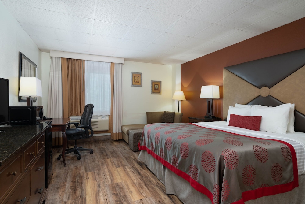 غرفة بسرير كينج، Albert Lea Inn & Suites 2/5