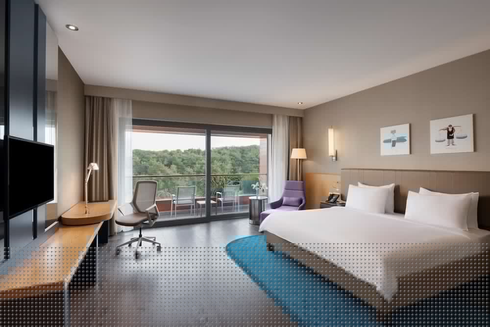 Radisson Blu Hotel And Spa Istanbul Tuzla 19/81