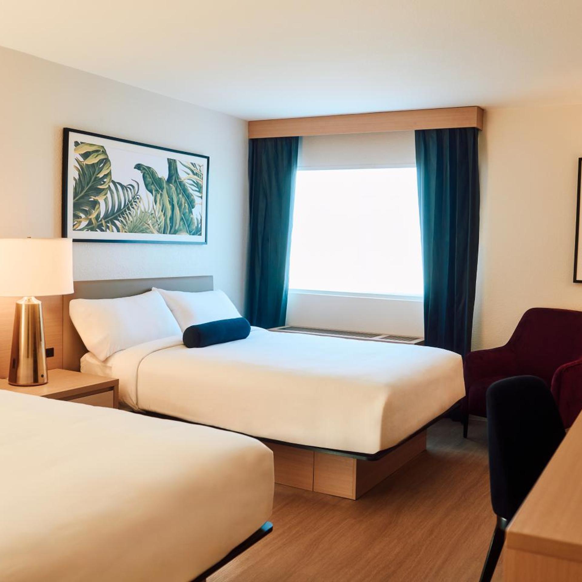 Superior, Queen Bed