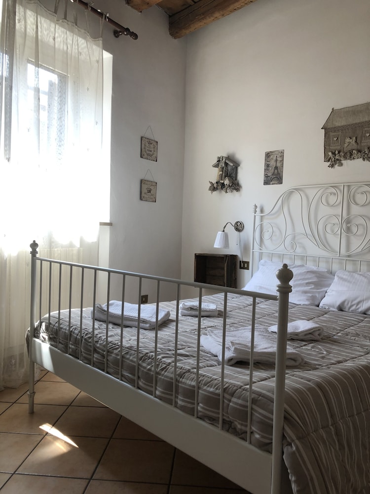 Ai Leoni 12/50