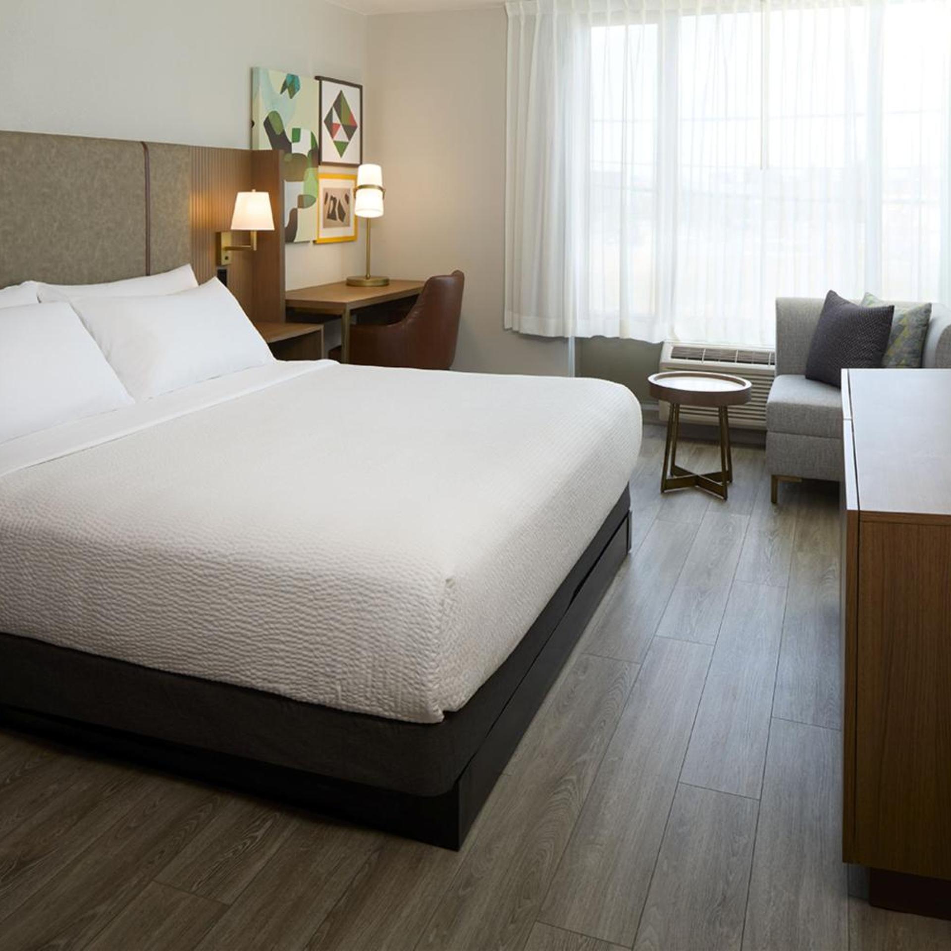 Suite, King Bed, Bath and Shower