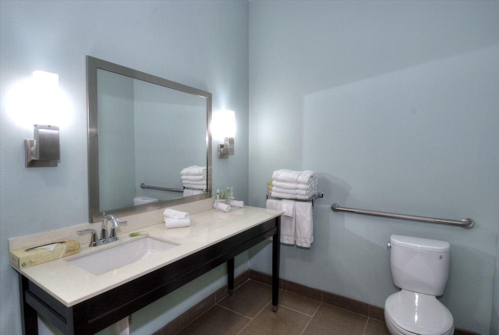 Holiday Inn Express And Suites Austin South 36/67