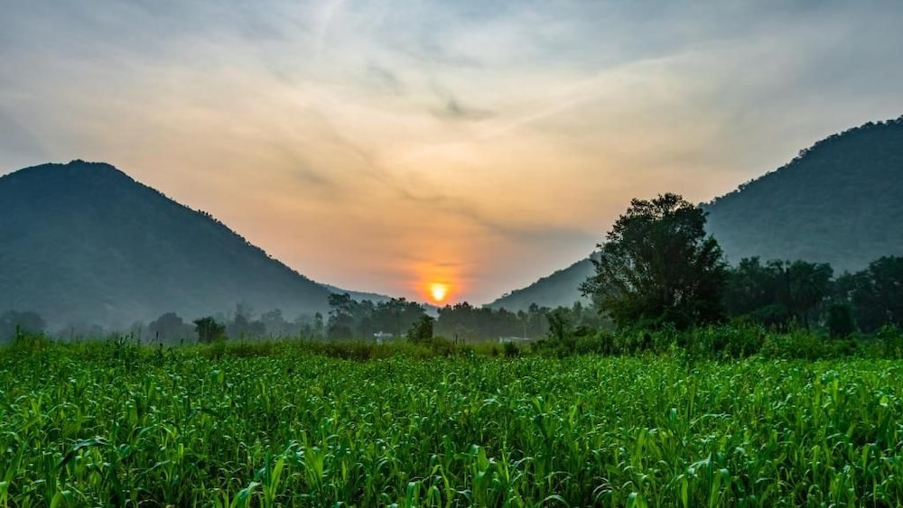 The Fern Sattva Resort Polo Forest 40/48