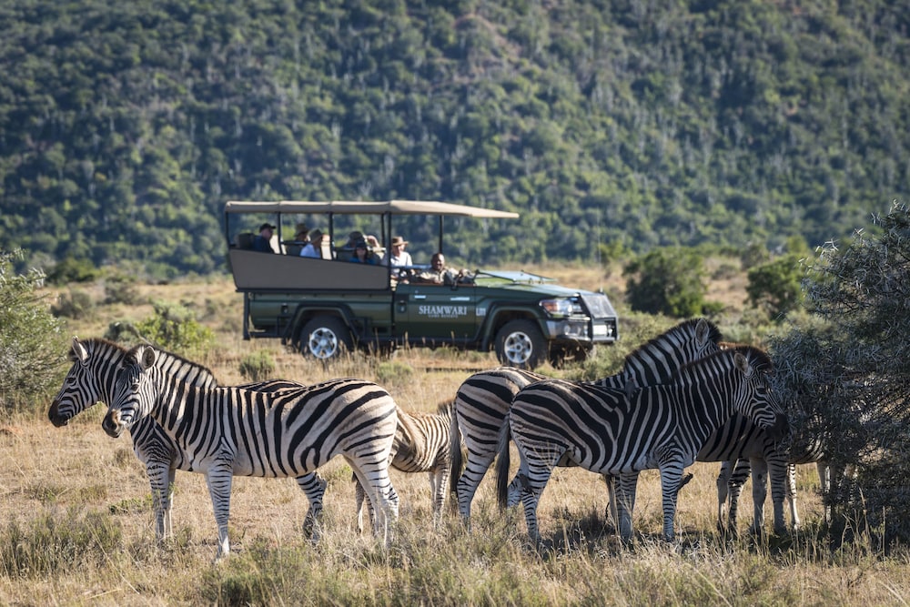 Shamwari Game Reserve - Riverdene 26/50