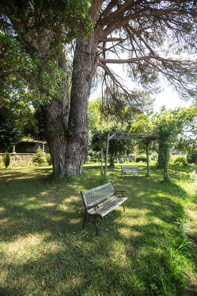 Quinta Do Paco D Anha 50/67
