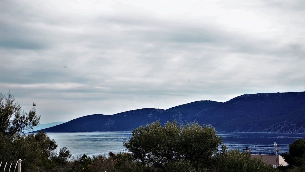 Lavender Cove 33/50