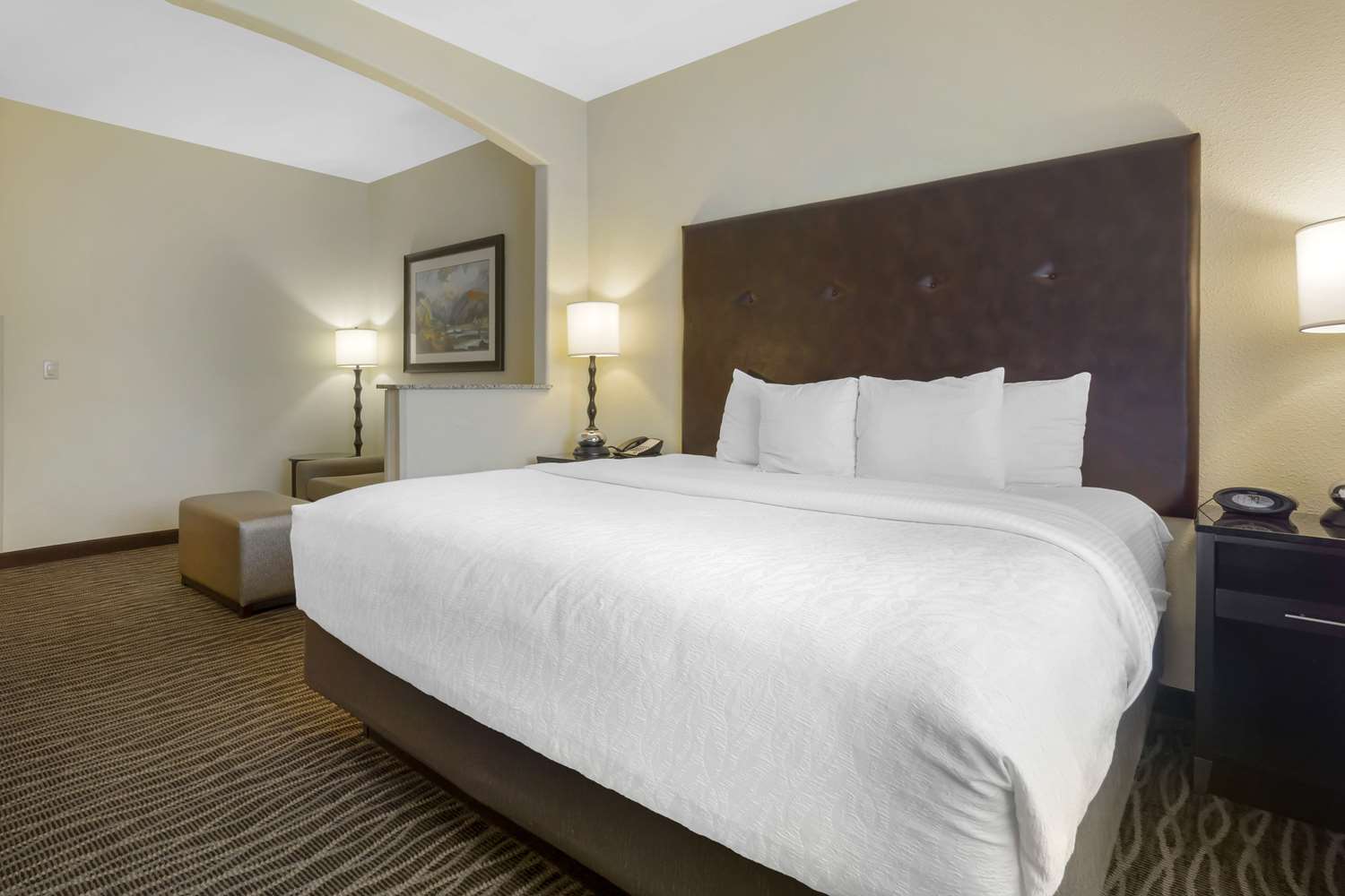 Mini, Suite, King Bed